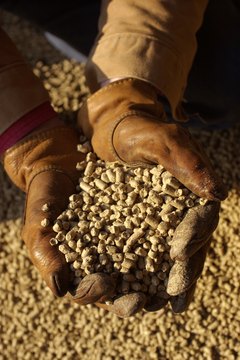 Thinkstock Images/Comstock/Getty Images Soybeans are rich sources of lecithin.