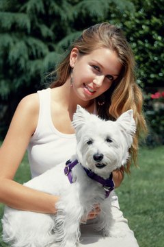 DailyPuppy article image