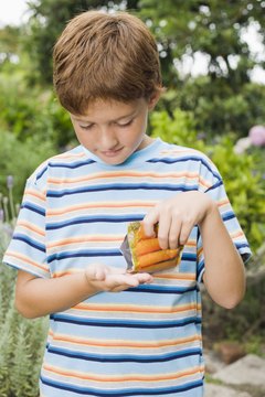 Children can grow their own veggies.