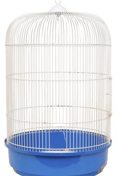 Hemera Technologies/PhotoObjects.net/Getty Images Fill that empty cage with toys to entertain your cockatiel.