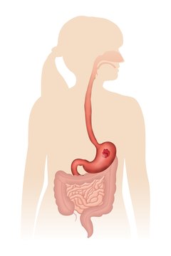 Visage/Stockbyte/Getty Images Fats require special processing before absorption from your digestive system.