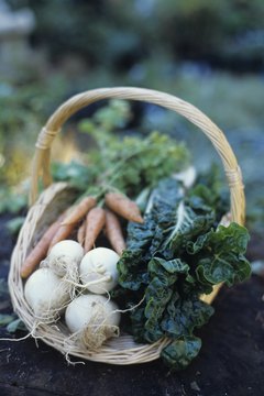 Christian agrarians practice economic independence and faithful service.