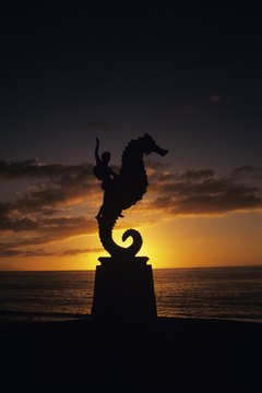 pocketsense article image