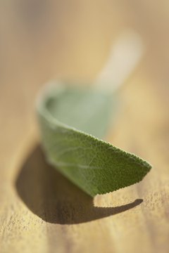 Burn sage to cleanse your home.