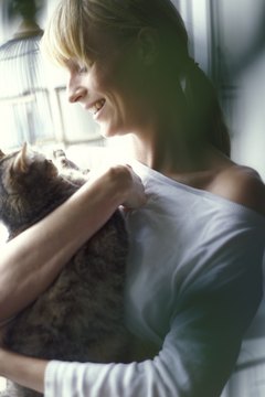 Pixland/Pixland/Getty Images Get to know your cat and she will let you know if she likes hugs.