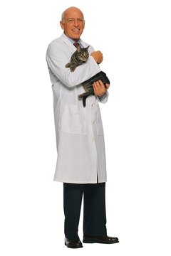 Comstock/Comstock/Getty Images Male cats who are neutered before 6 months old don't develop barbs.