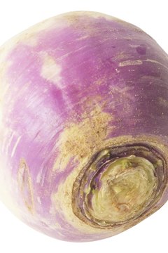 Hemera Technologies/PhotoObjects.net/Getty Images Turnips are higher in vitamin C than potatoes.