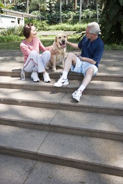 A psychology degree can prepare you to work with animals that help people deal with mental illness.