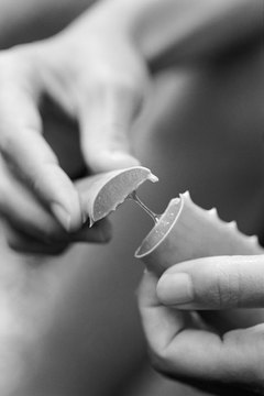 Thinkstock/Comstock/Getty Images Using aloe externally is fine, but it's toxic to dogs if ingested.
