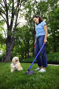 Thinkstock/Comstock/Getty Images Changing your dog's diet can reduce the waste you have to clean up.