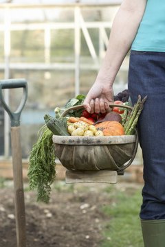 Martin Poole/Digital Vision/Getty Images Even a small plot in a community garden can produce a surprising variety of healthful foods.