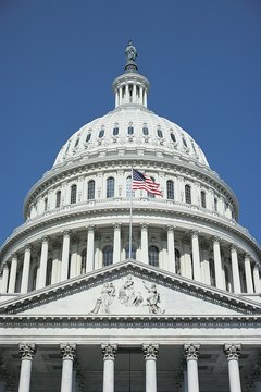 Green candidates stand for election across the United States.