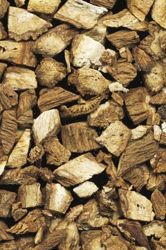 Siri Stafford/Lifesize/Getty Images Burdock root has been used as an herbal medicine for centuries.