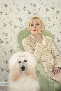 Digital Vision./Digital Vision/Getty Images With regular grooming, your poodle will rarely have unsightly tangles.