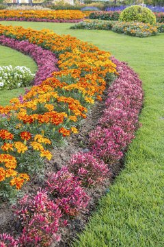 Colourful Flowerbeds and Winding Grass Pathway