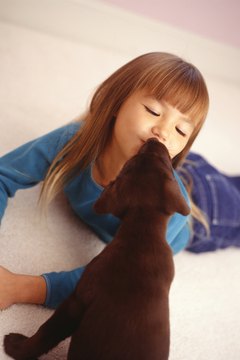 Ryan McVay/Photodisc/Getty Images Puppy pads keep your floors clean during housetraining.