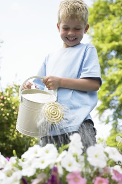 Small gardens give children a chance to explore plant science.