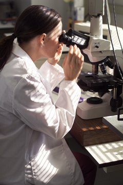 Photodisc/Photodisc/Getty Images The microscope is an important tool for a pathologist.