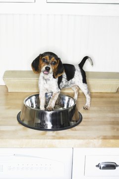 Digital Vision./Photodisc/Getty Images You know, food helps relieve back pain. Just sayin'.