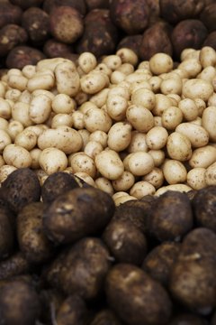 Michael Blann/Photodisc/Getty Images Potatoes and rice are high in carbs, nearly fat-free and low in protein.