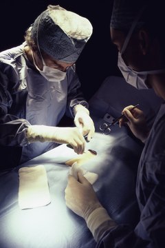 Medical schools need human bodies to teach future surgeons.