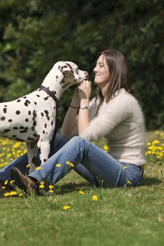 DailyPuppy article image