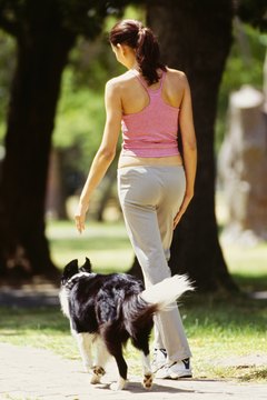 George Doyle/Stockbyte/Getty Images Walking shoes need to have good arch support.