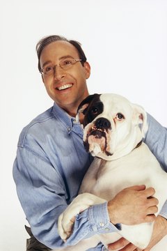Creatas/Creatas/Getty Images Light clothing is generally a better choice than dark when you own a white boxer.