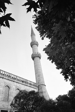 Muslim funerals often begin in a mosque courtyard or prayer hall.