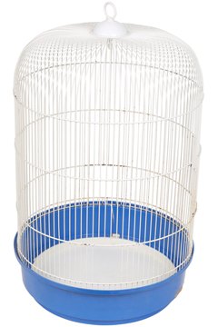 PhotoObjects.net/PhotoObjects.net/Getty Images Cockatiels need big, roomy cages, not bargain-priced miniatures.