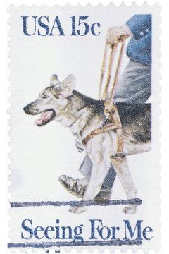 Hemera Technologies/PhotoObjects.net/Getty Images Service dogs decrease stress and loneliness in humans.