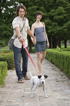 Jupiterimages/Comstock/Getty Images Shared custody of your pooch works in many situations.