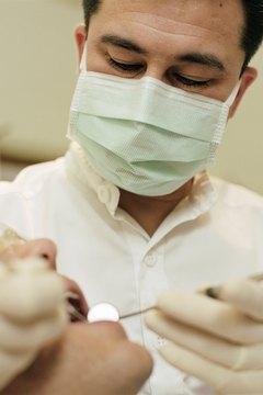 Orthodontists follow the same initial career paths as dentists.