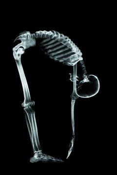 Digital Vision./Digital Vision/Getty Images Flexibility allows your body to bend.