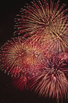 Comstock/Comstock/Getty Images Fireworks can be unpleasant for your kitty.