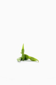 Jupiterimages/Creatas/Getty Images Soybeans are a good source of protein and contain no cholesterol.