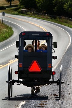 Many Amish drive wagons because they oppose car ownership.