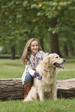 Jupiterimages/Polka Dot/Getty Images Brush your dog regularly to minimize mats.