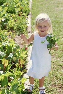 Help your tiny tot students to learn the basics of gardening with a carrot-themed lesson.