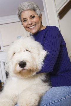 DailyPuppy article image