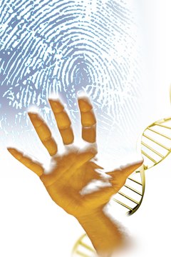 Foundational biology courses will help students more clearly understand DNA behavior and structure, which are essential concepts in forensic science.