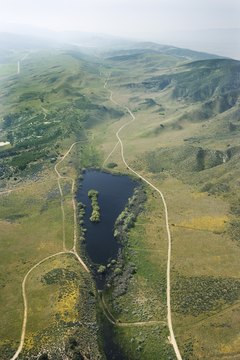 Teach students about fault lines and other land forms created by tectonics.