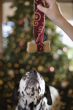 Jupiterimages/Brand X Pictures/Getty Images Don't forget your pet when you're making your family's favorite treats.