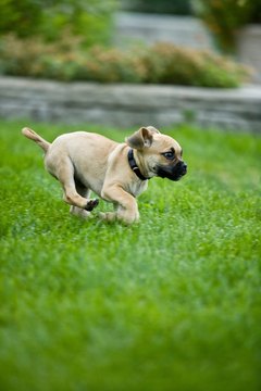 Jupiterimages/Photos.com/Getty Images Running is cute, until she's running the wrong way!