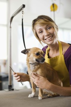Jupiterimages/Brand X Pictures/Getty Images A nervous dog may need a muzzle until she learns grooming doesn't hurt.