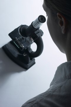 Plagiarism can jeopardize research grants and a scientist's reputation in her field.