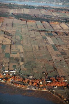 Agriculture is a major Canadian industry and a vital field of study.