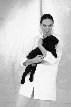 DailyPuppy article image