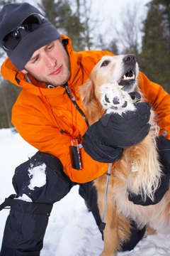 Jupiterimages/Photos.com/Getty Images Booties keep your dog's paws clean and protected from the elements.