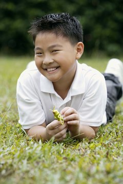 Seeing an actual grasshopper is helpful preparation for these activities.